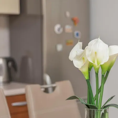 Apartament Apartman Sime Makarska