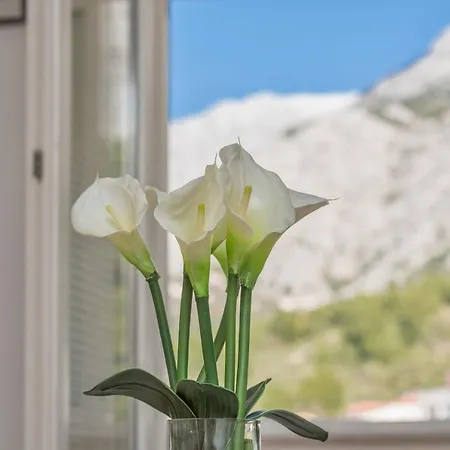 Apartman Sime *
